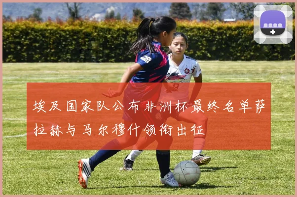 埃及国家队公布非洲杯最终名单萨拉赫与马尔穆什领衔出征
