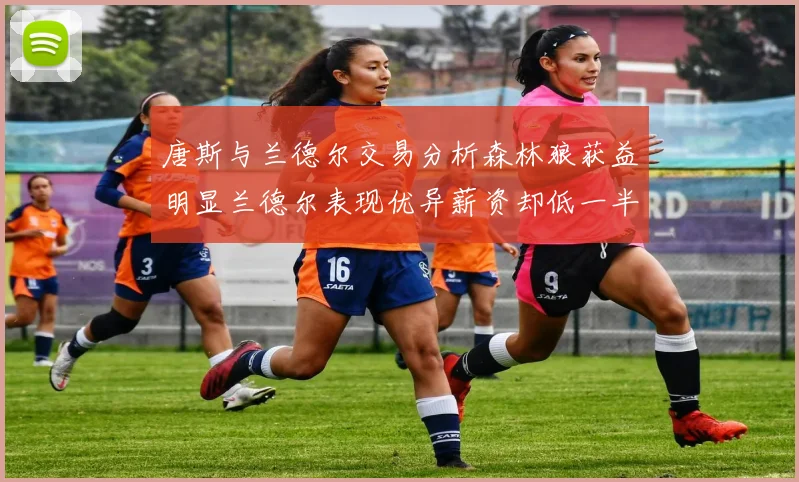 唐斯与兰德尔交易分析森林狼获益明显兰德尔表现优异薪资却低一半