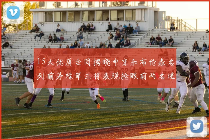15大优质合同揭晓申京和布伦森名列前茅绿军三将表现抢眼前两名堪称传奇