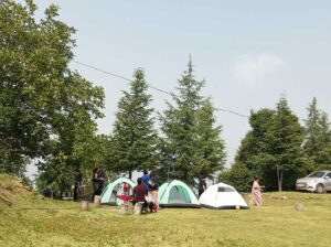 churwadhar-camping-rajgarh-himachal-pradesh-best-camping-site-for-families
