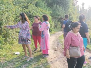 churwadhar-camping-rajgarh-himachal-pradesh-nature-walks-with-family